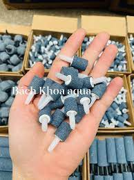 Qủa sủi mini